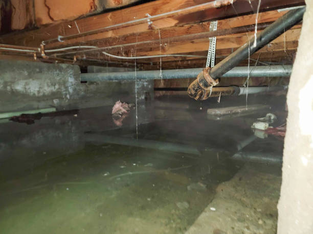 Best Residential water damage restoration  in Lus Valley Marinwood, CA