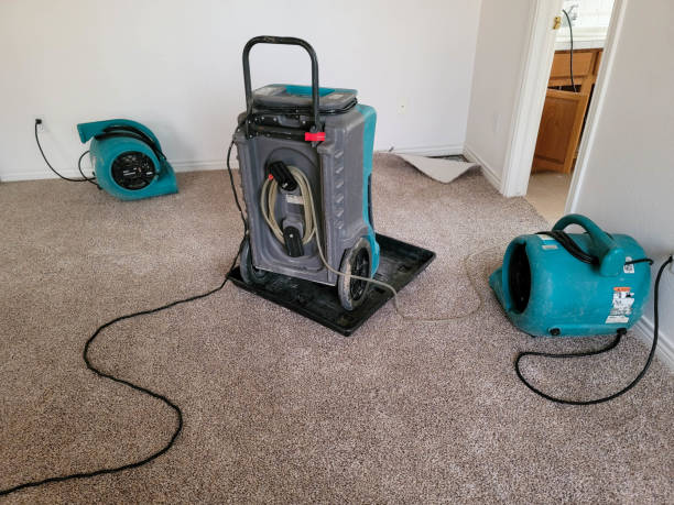 Best 24-hour water damage restoration  in Lus Valley Marinwood, CA