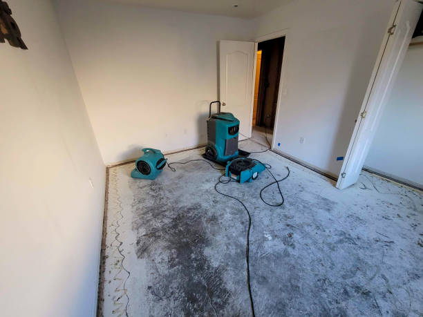 Best Professional water damage repair  in Lus Valley Marinwood, CA
