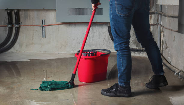 Best Flood restoration services  in Lus Valley Marinwood, CA