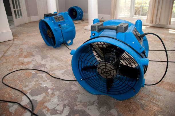 Best Fire Damage Restoration  in Lus Valley Marinwood, CA