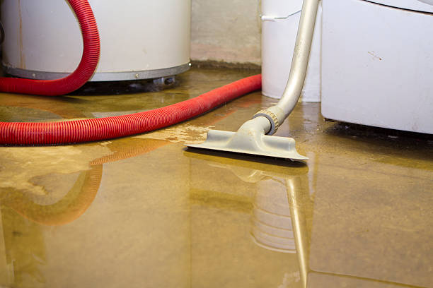 Best Local water damage restoration  in Lus Valley Marinwood, CA