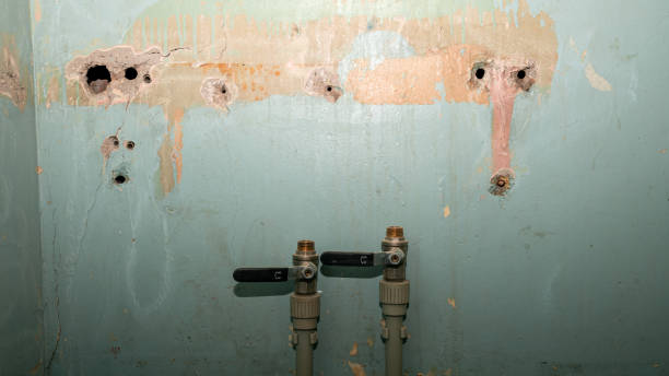 Best Flood damage cleanup  in Lus Valley Marinwood, CA