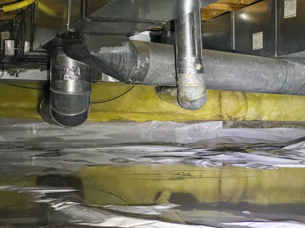 Best Professional water damage repair  in Lus Valley Marinwood, CA