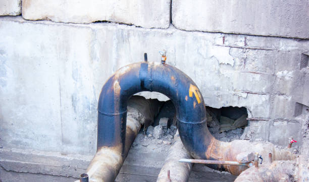 Best Mold removal after water damage  in Lus Valley Marinwood, CA