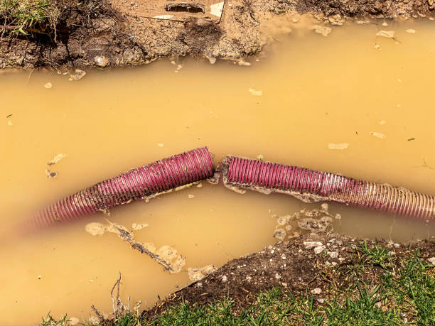Best Basement water damage restoration  in Lus Valley Marinwood, CA